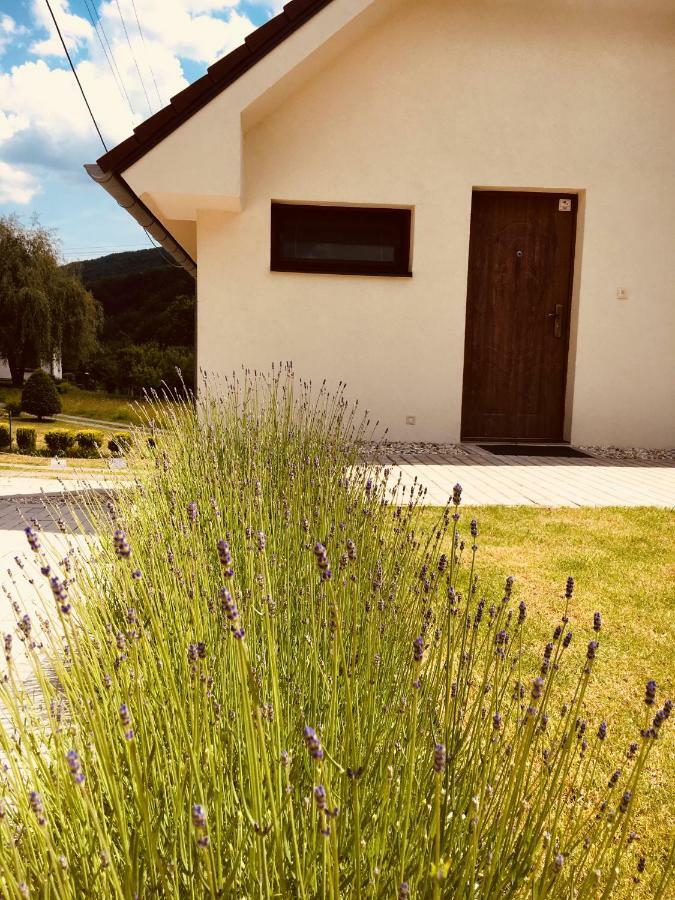 Grand Spa Holiday Home Szklenófürdő Kültér fotó